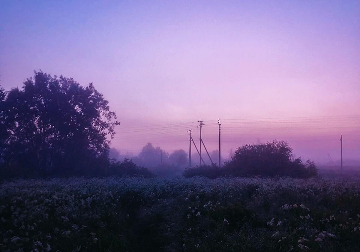 v体育-主场战胜南京队 天津男篮喜提3连胜